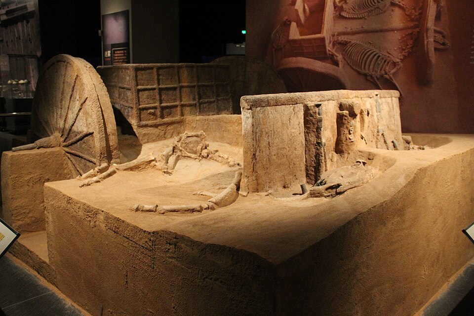 Shang chariot and horse skeletons preserved in a burial pit at Yinxu