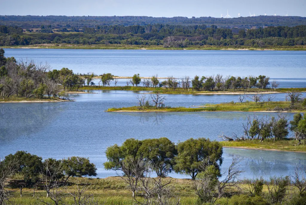 Baicheng Travel Guide: Momoge and Xianghai Crane Wetlands