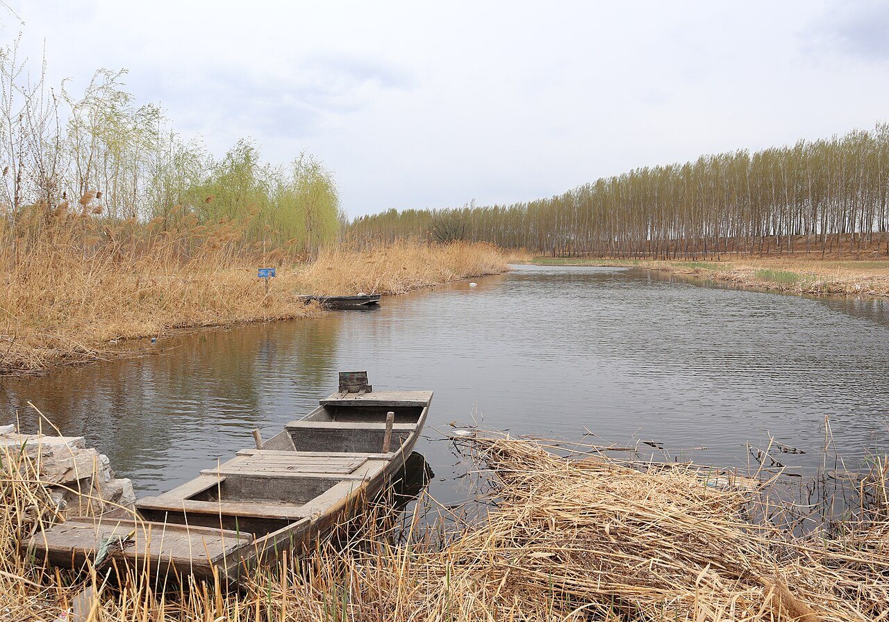 Wooden boat moored among reeds on a channel at Baiyangdian
