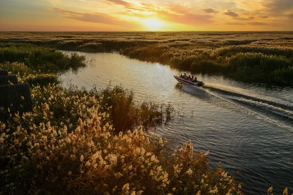 Open water and reeds at Wuliangsuhai in Bayannur
