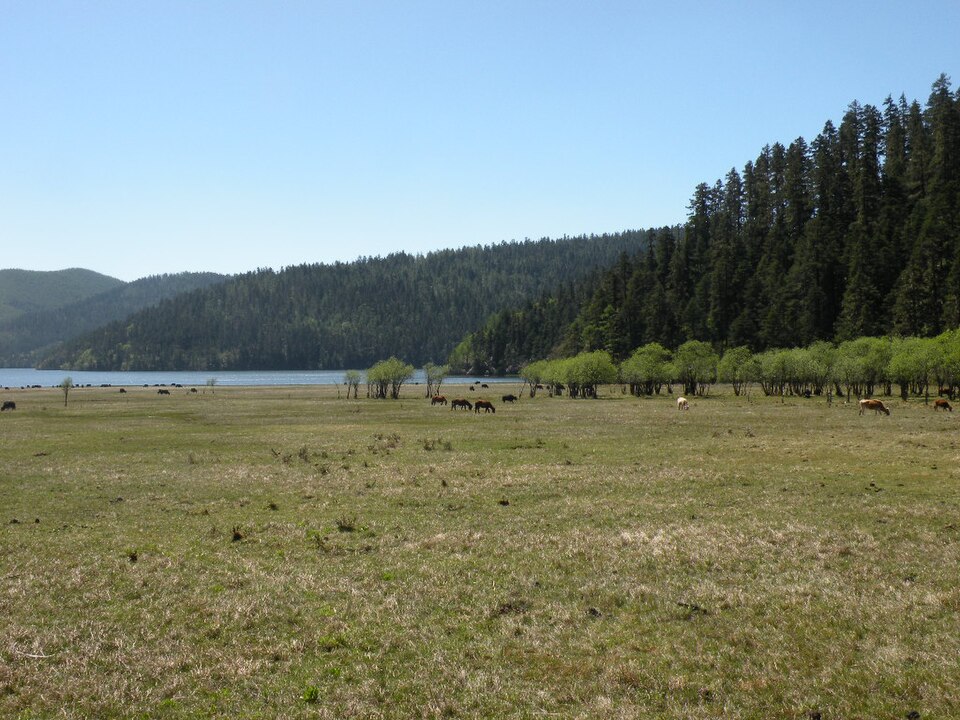 meadow landscape inside Pudacuo
