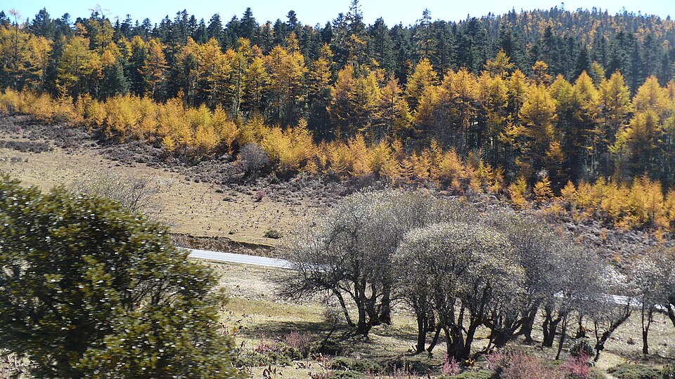 Pudacuo National Park, Shangri-La: Potatso Lakes, Meadows and Boardwalks