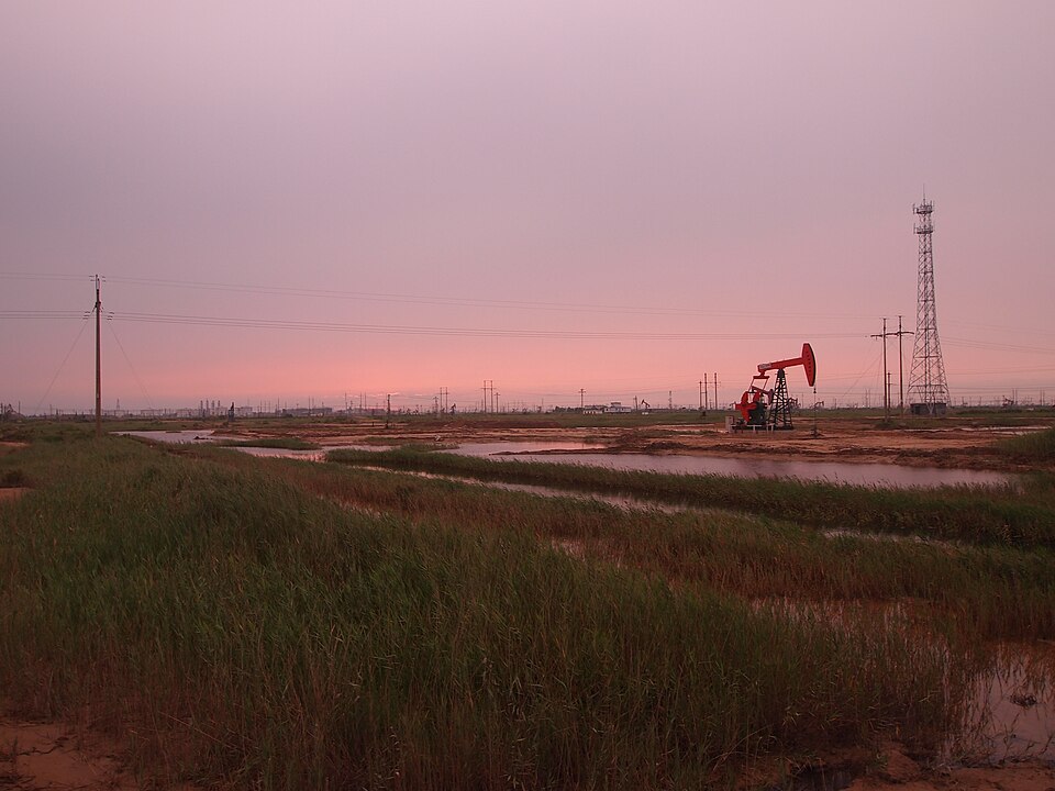Gudong Oilfield Dongying: Honest Fringe Stop After the Estuary