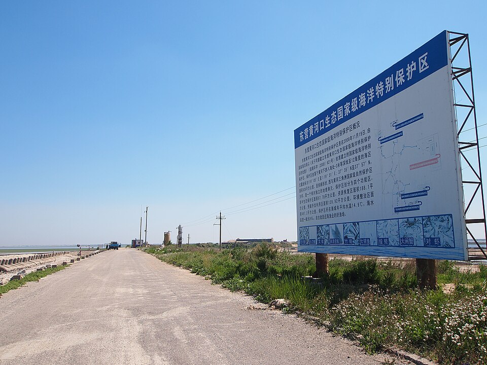 Reed marsh and open water inside the Yellow River Delta reserve near Dongying