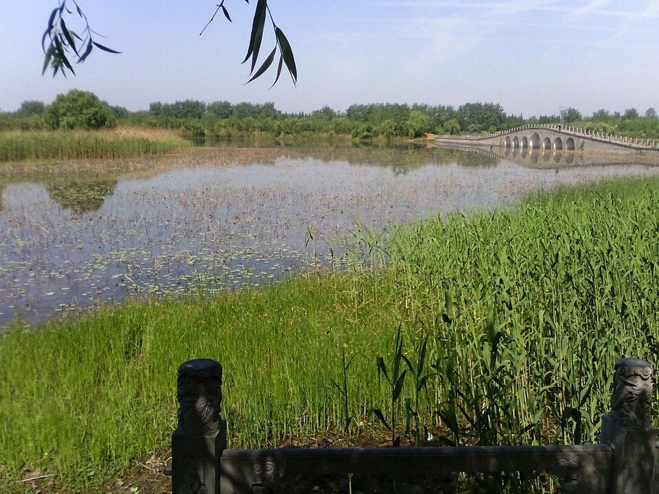Fuyang Travel Guide: West Lake and Shaying River