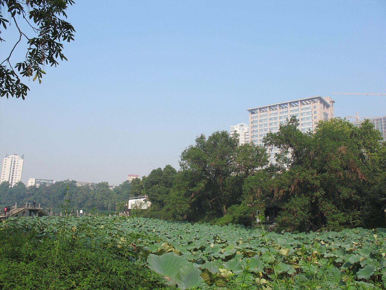 lotus pond before Baogong Ancestral Hall