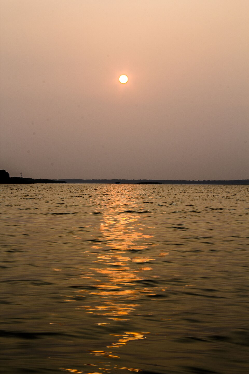 Open water and tall reeds at Hengshui Lake National Nature Reserve