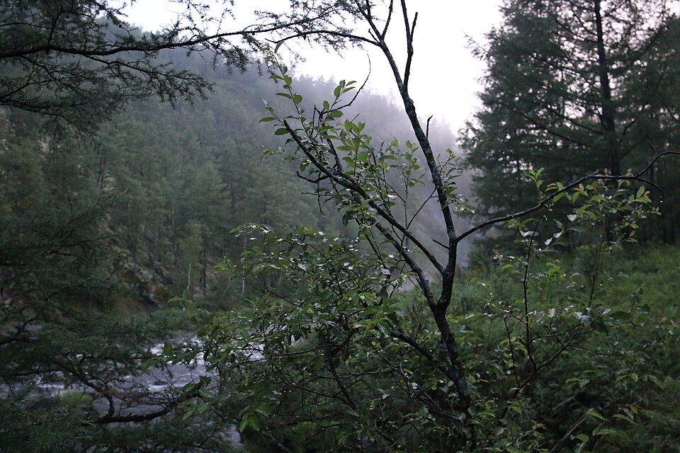 Hinggan Travel Guide: Arxan Forest Park and Crater Lakes