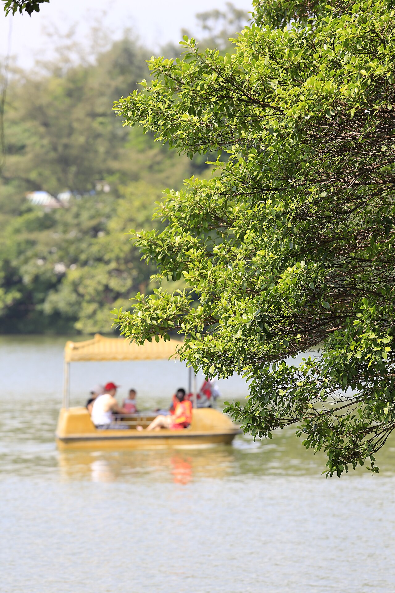 Sizhou Pagoda rising over trees at Huizhou West Lake