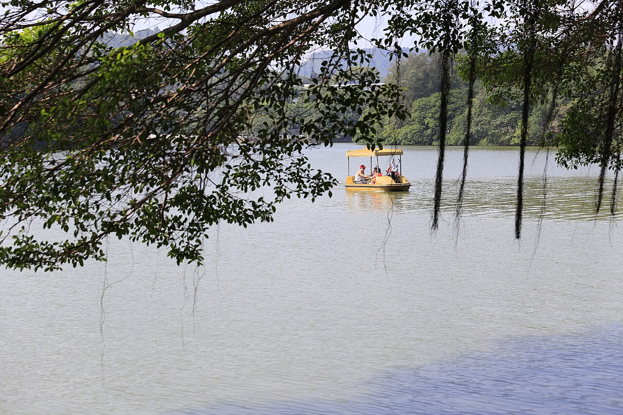 Shoreline path and willows along Huizhou West Lake