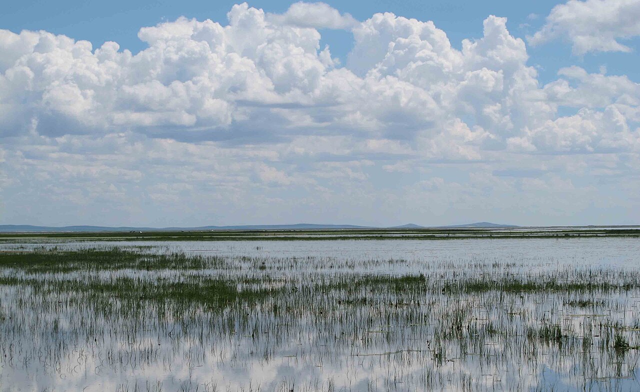 wide view of Hulun Lake with grassland shore