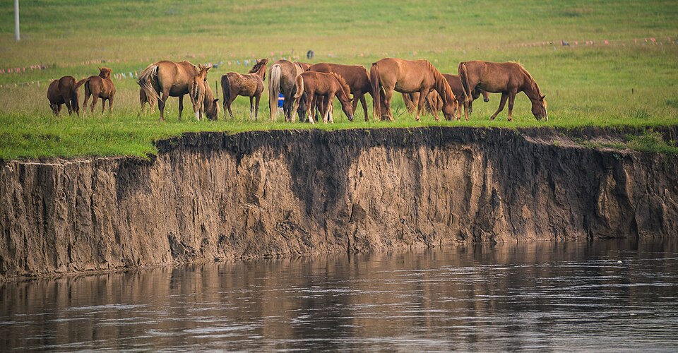 Hulunbuir Travel Guide: Grasslands, Hulun Lake, Manzhouli