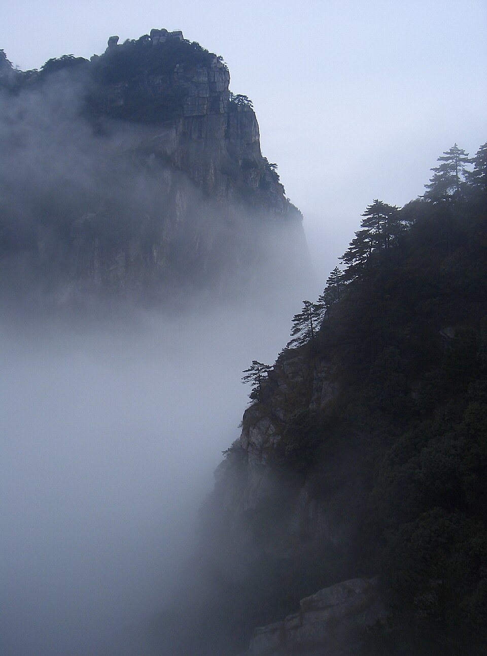 Thick fog among pine trees on a stone path on Mount Lu