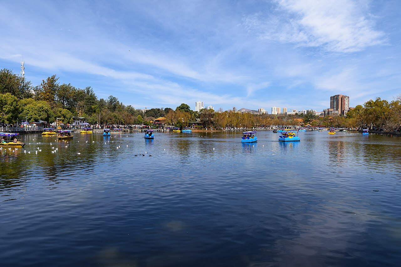 Green Lake Park, Kunming: Free Walk, Gulls and Nearby Sights