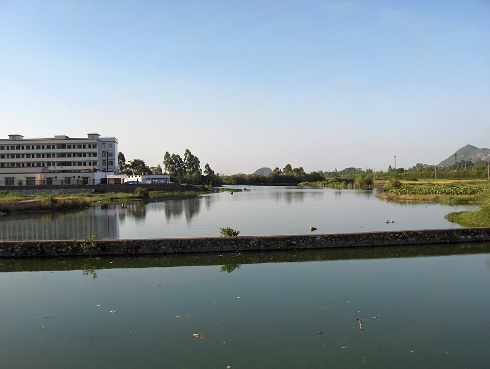 Fish ponds and green fields in the countryside near Liangjiang, Laibin
