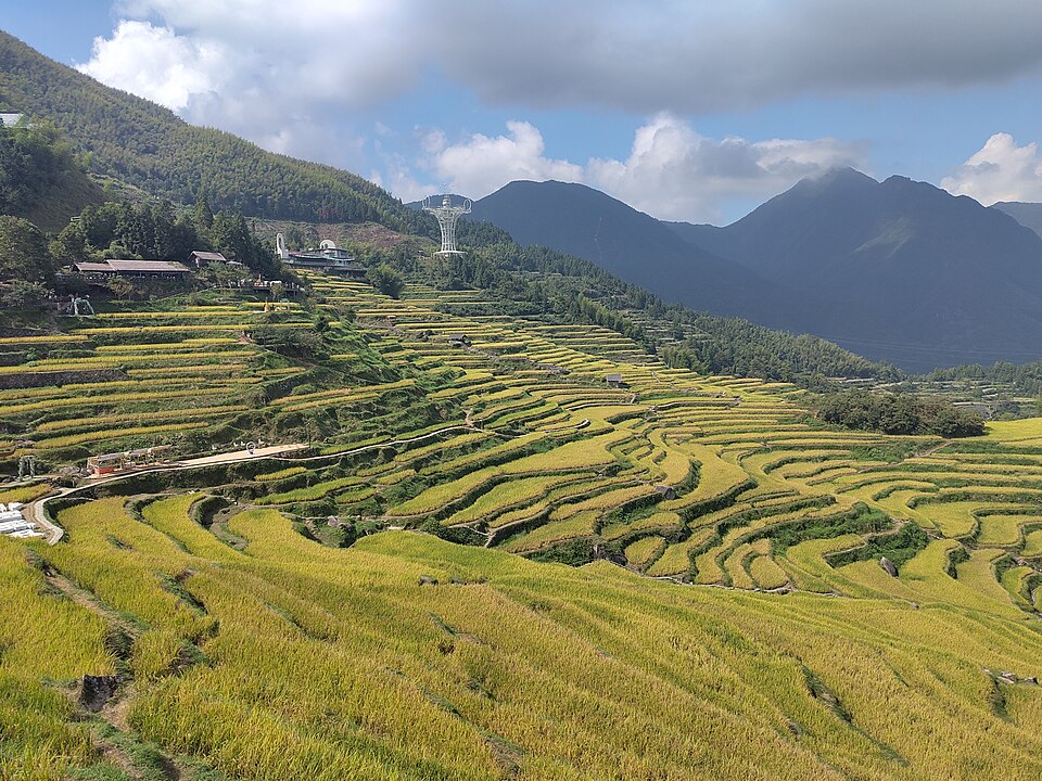 Lishui Travel Guide: Yunhe Terraces, Xiandu, Longquan Celadon