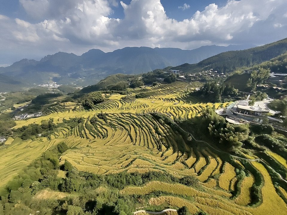 Yunhe Terraces: East China's Largest Rice Terraces, Season by Season
