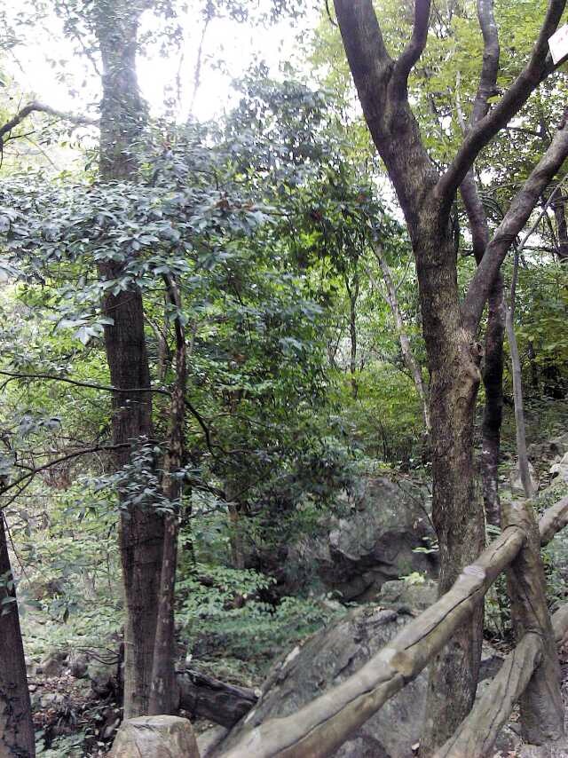 Lu'an Travel Guide: Tiantangzhai, Dabie Mountains, Guapian Tea