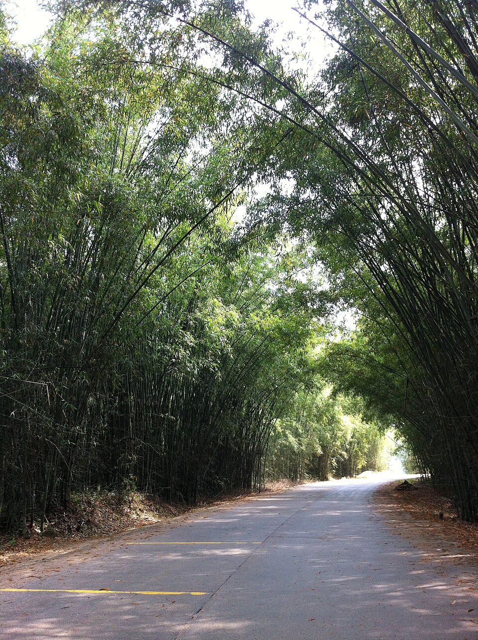 Street and hillside view in Meizhou