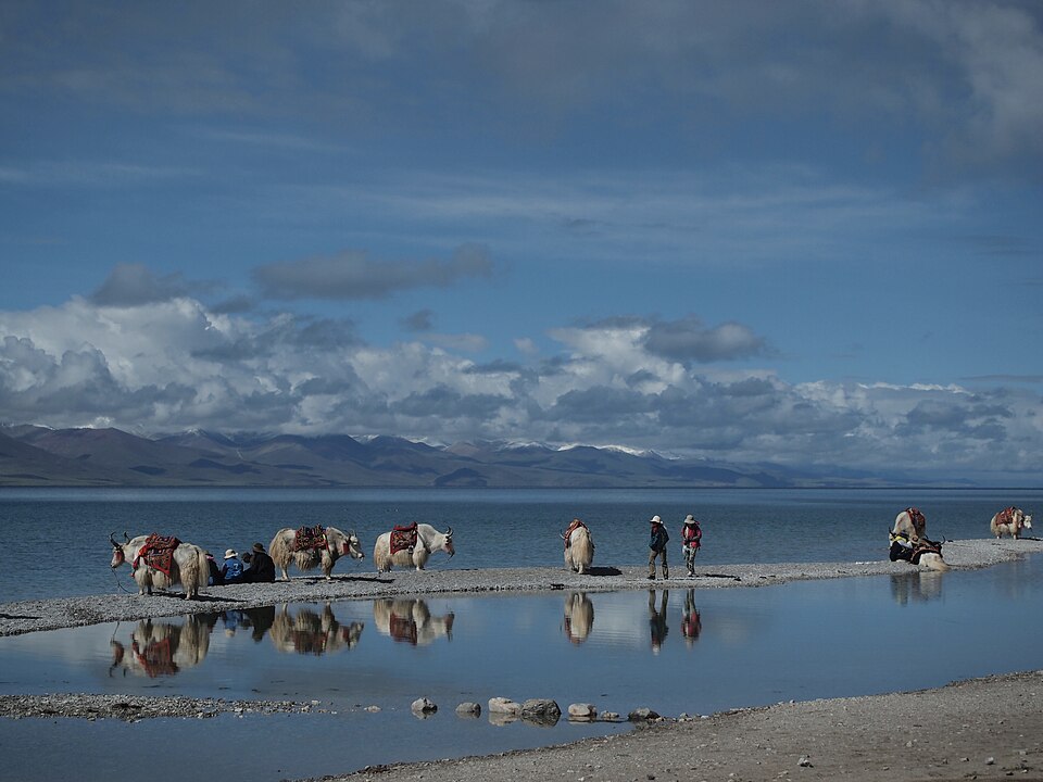 Nagqu Travel Guide: Plateau Hub and Namtso Check
