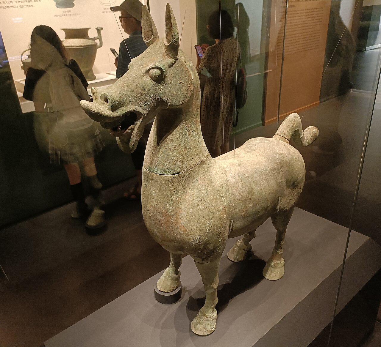 a bronze horse with pricked ears and an open mouth standing in a glass case