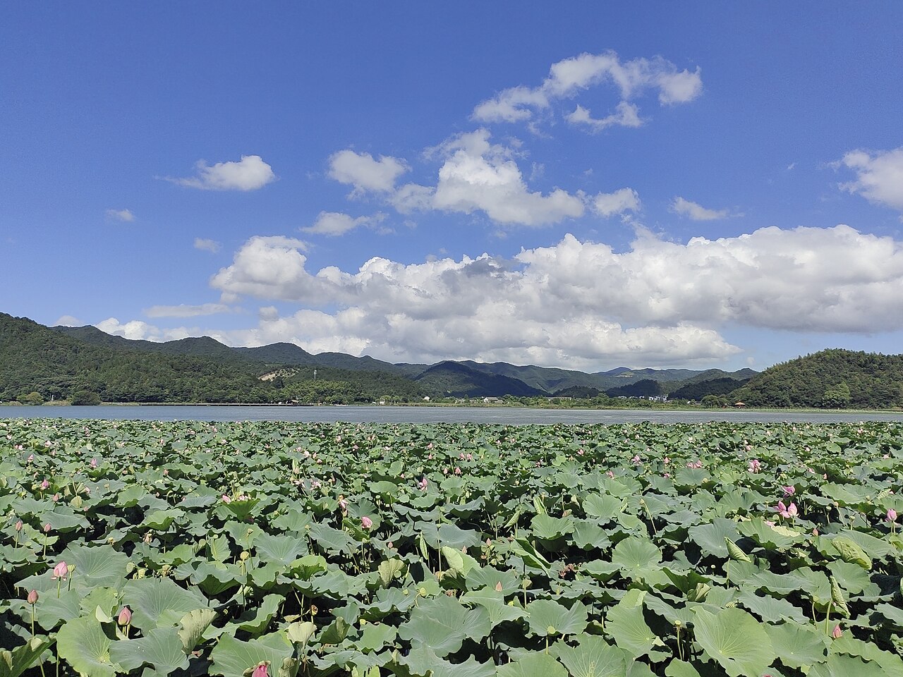 Dongqian Lake in Yinzhou