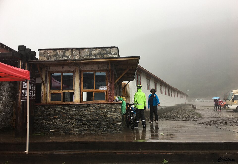 Lulang Forest: Meadow Viewpoints, Sejila Pass and Pacing Tips