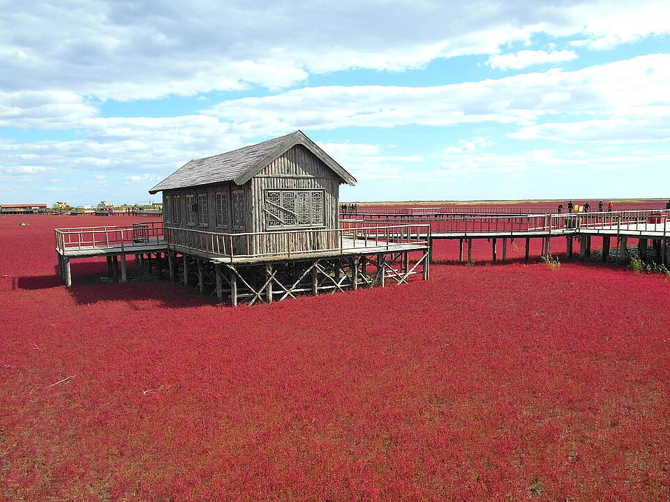 Panjin Travel Guide: Red Beach and Reed Wetlands