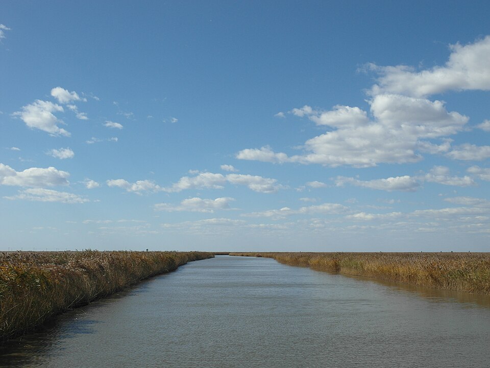 Reed wetland landscape near Panjin