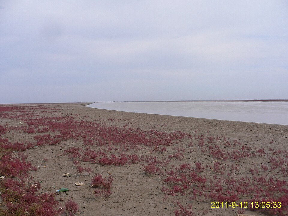 Wetland water channels and red flats in Panjin
