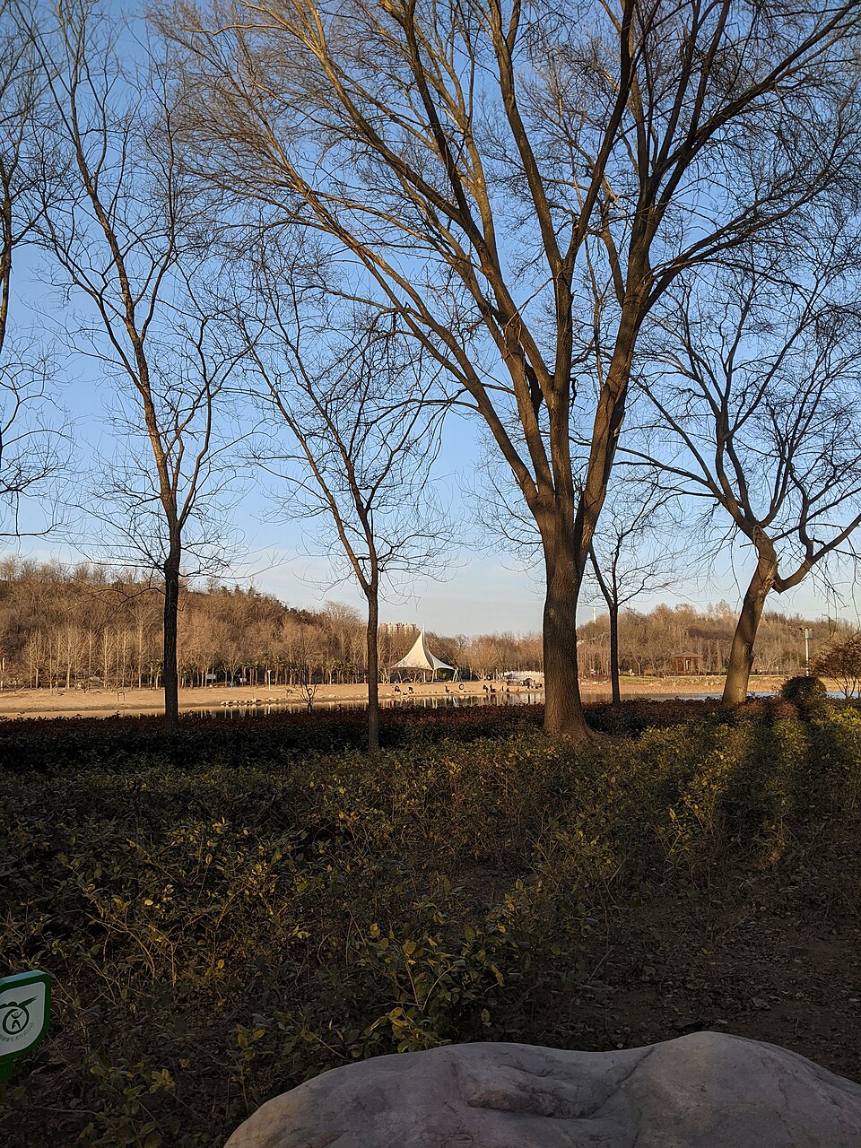 Lake and planted banks in Pushui Park, Puyang
