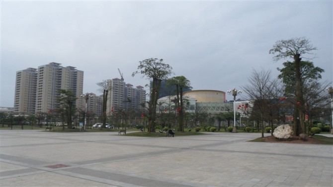 Street view of central Qinzhou with low-rise buildings and trees