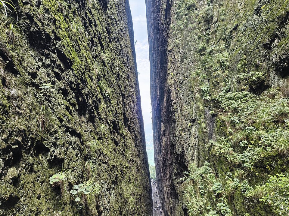 Narrow vertical slot of sky between two moss covered rock walls at Yixiantian