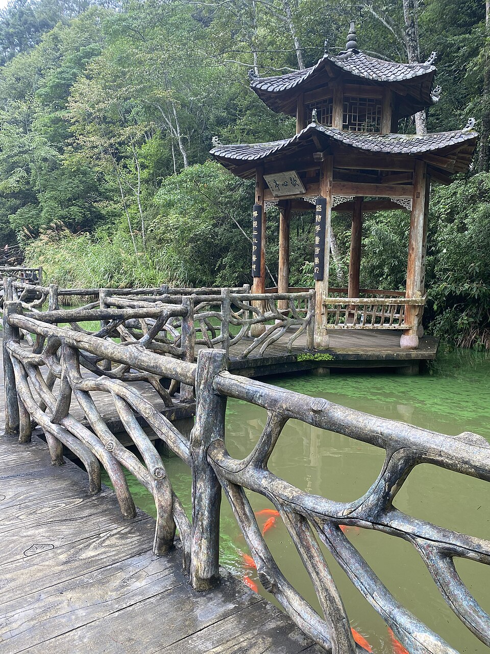 Wooden pavilion beside a still green pool at the Golden Lake scenic area