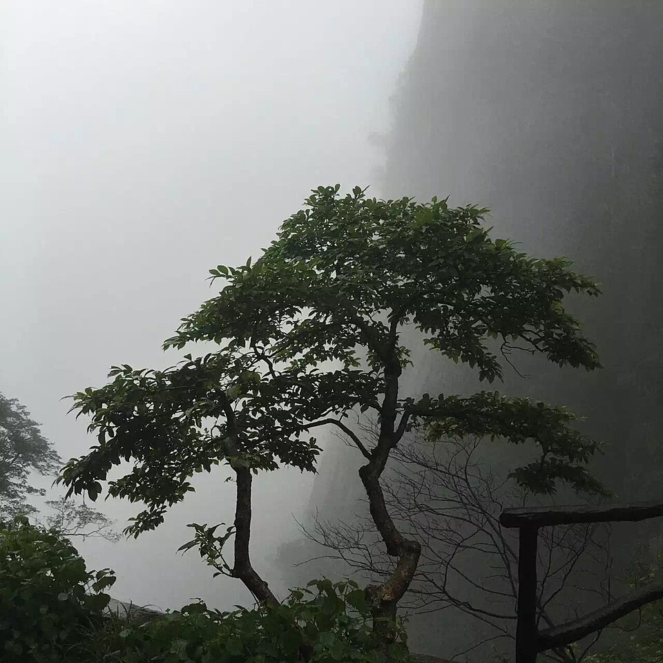 Shangrao Travel Guide: Mount Sanqing Routes and Wuyuan