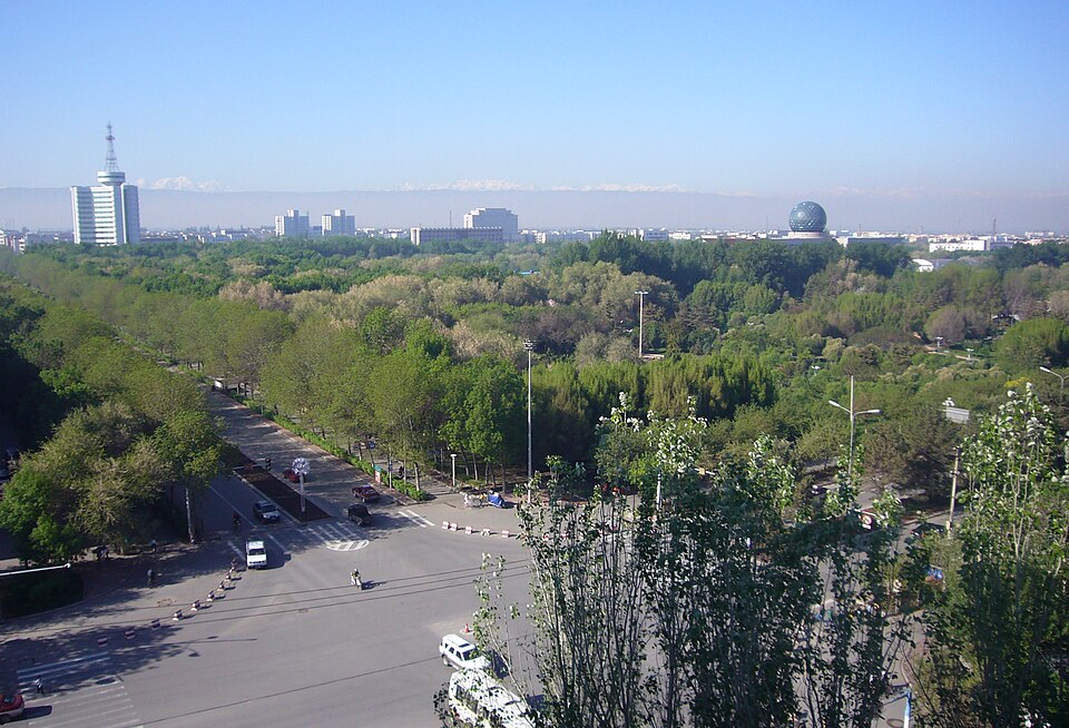 Tree-lined avenue and low buildings in central Shihezi, a planned oasis city