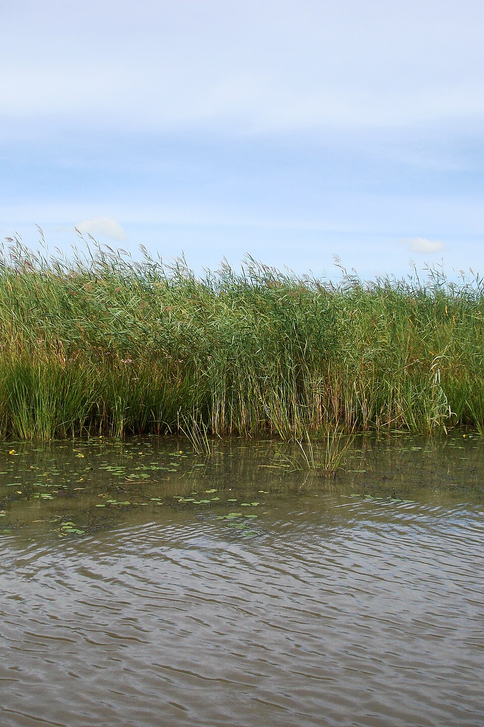 Shuangyashan Travel Guide: Anbang River Wetland and the Ussuri