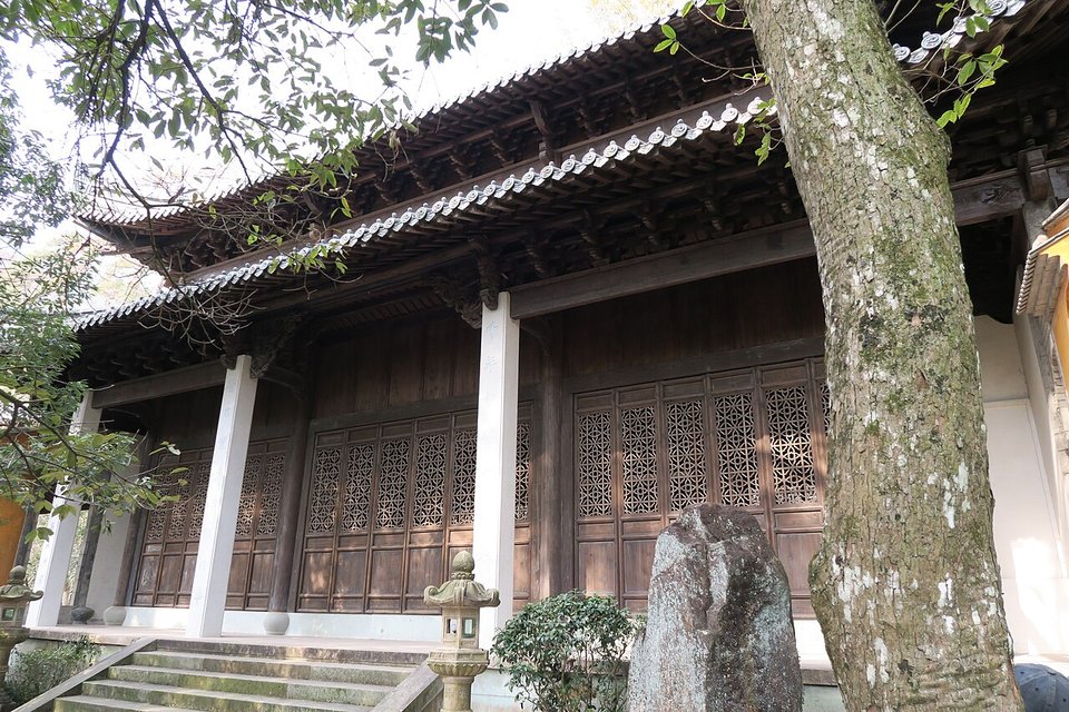 Wooden hall of Guoqing Temple with a tiled roof behind an old tree trunk