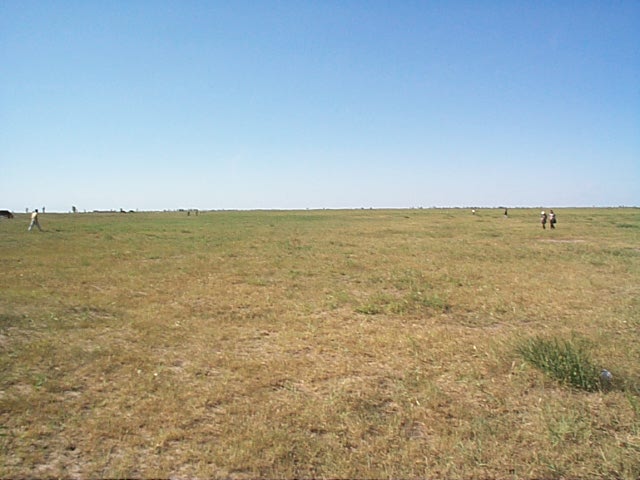 Tongliao Travel Guide: Horqin Grassland and Daqinggou