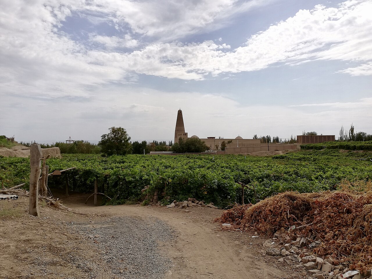 Grape Valley, Turpan: Pergola Shade, Raisins and Midday Refuge