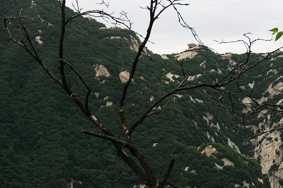 Weinan Travel Guide: Mount Hua, Xiyue Temple and Hancheng