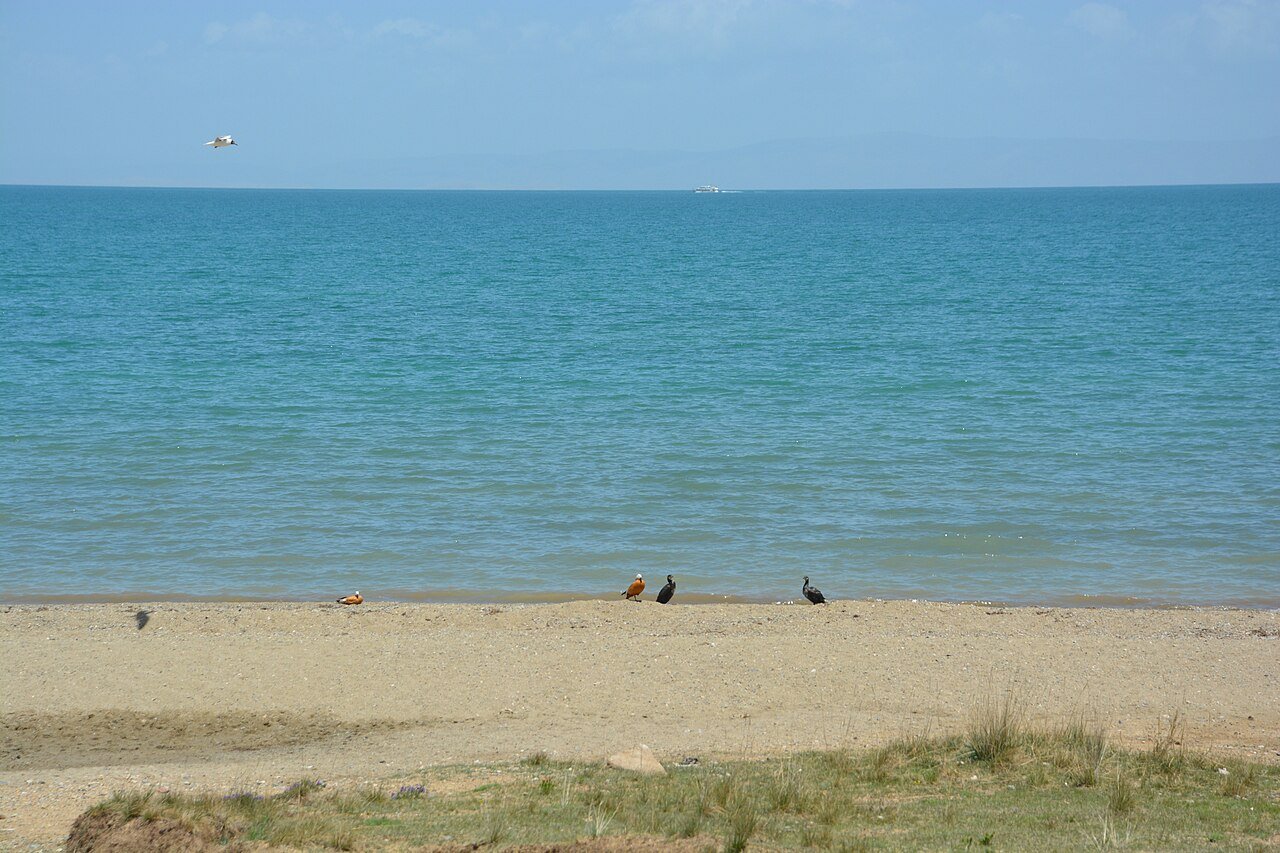 sandy grass shore at Qinghai Lake with clear blue water stretching to the horizon
