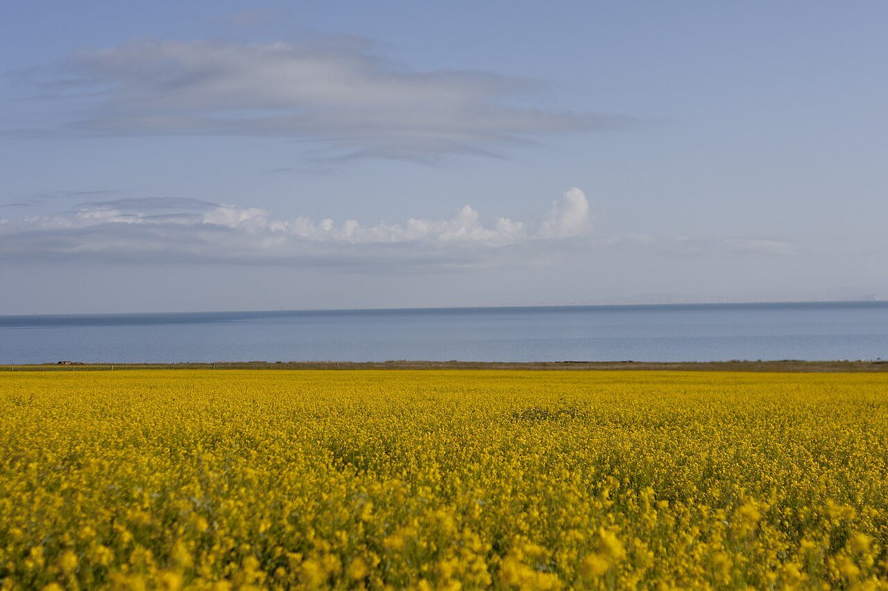 Qinghai Lake from Xining: China's Largest Lake, Bird Island, Erlangjian and a Day-Trip Plan
