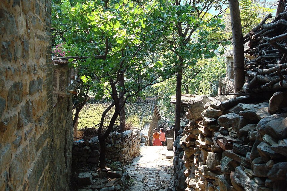Stone walls, trees and stacked firewood in a lane of Guoliang village