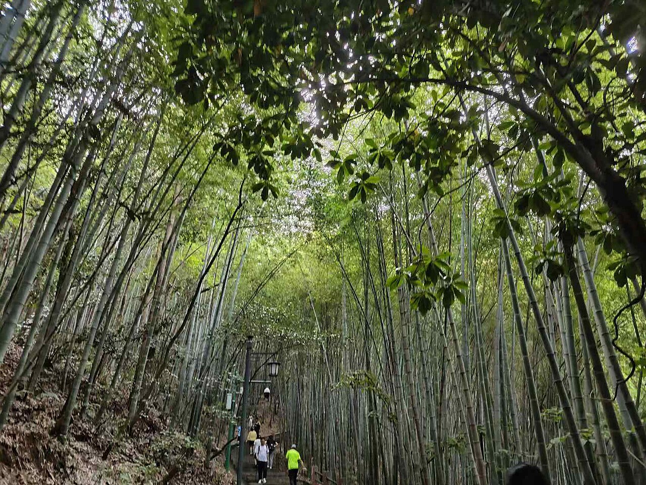 Xuancheng Travel Guide: Jingting Mountain, Poetry Hills, and Anhui South (3-Day Route)