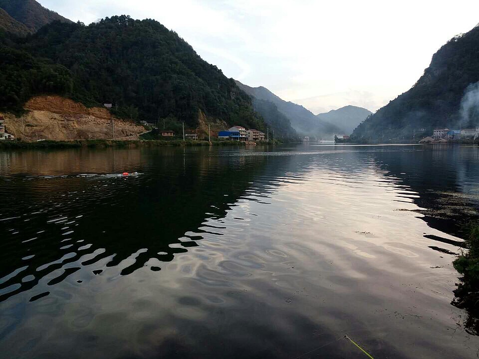 Yiyang Travel Guide: Anhua Dark Tea and Dongting Fringe (2–3 Day Route)