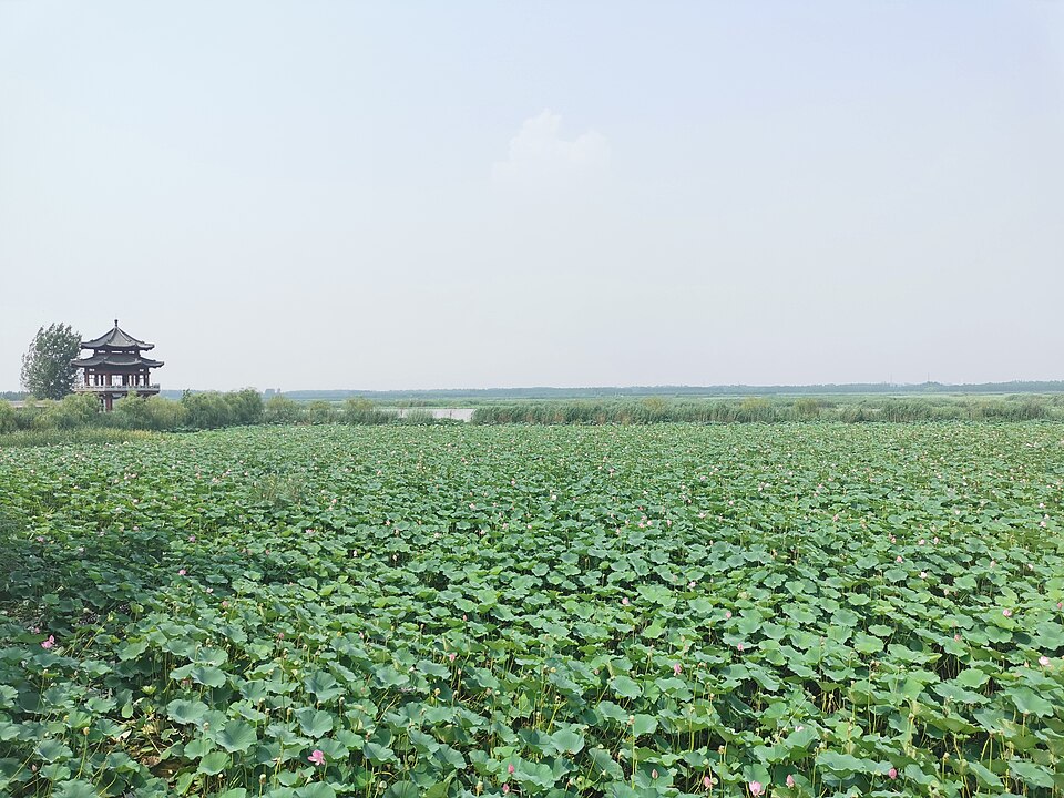 Weishan Lake Zaozhuang: Wetland Hours After Taierzhuang