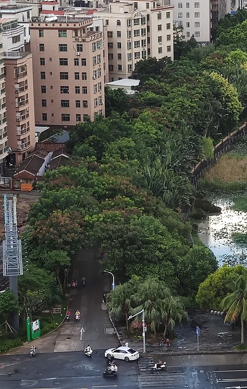 China Australia friendship garden overview in Zhanjiang