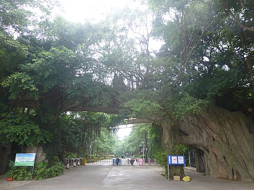 Paths and greenery at Huguangyan Park