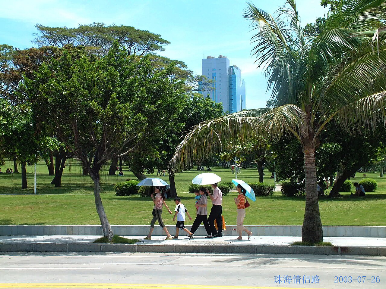 people with umbrellas walking on a seafront path lined with palms and lawns
